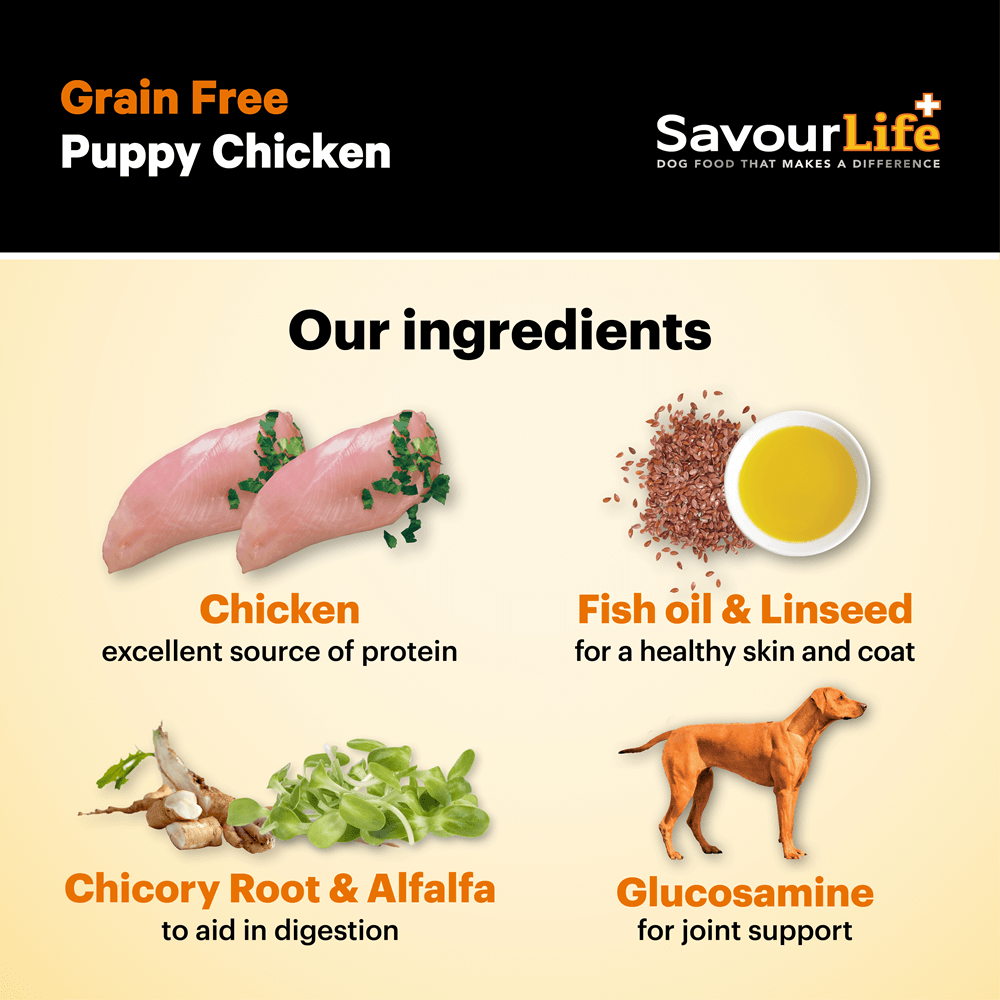 Chicken Grain Free Puppy Dry Dog Food