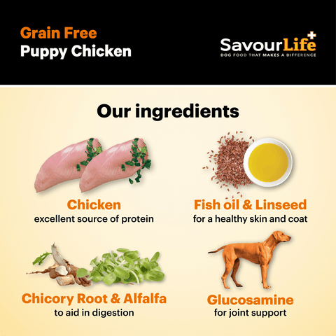 Chicken Grain Free Puppy Dry Dog Food