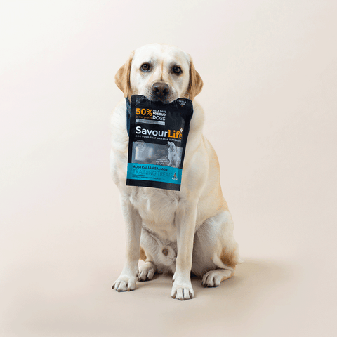 Australian Salmon Training Treats for Dogs