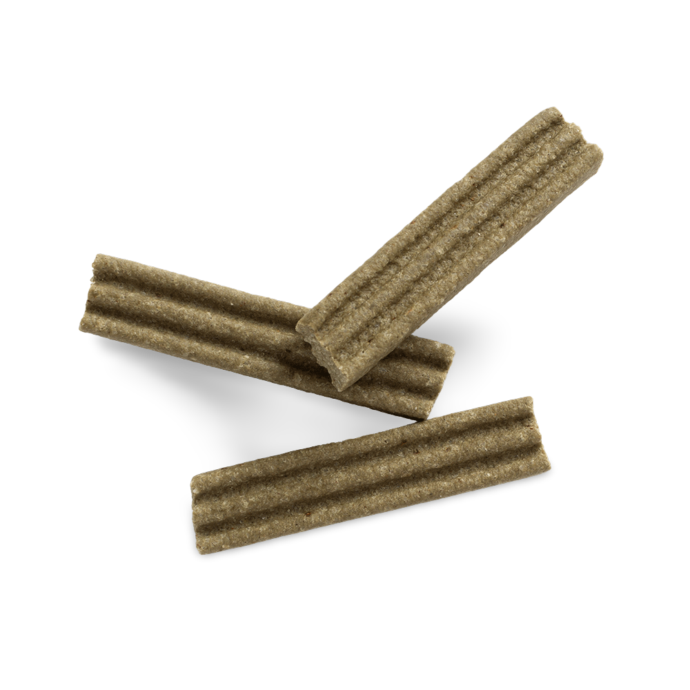 Small Dog Dental Bars