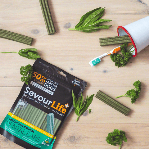 Small Dog Dental Bars