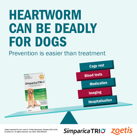 Chews for Large Dogs 20.1-40kg