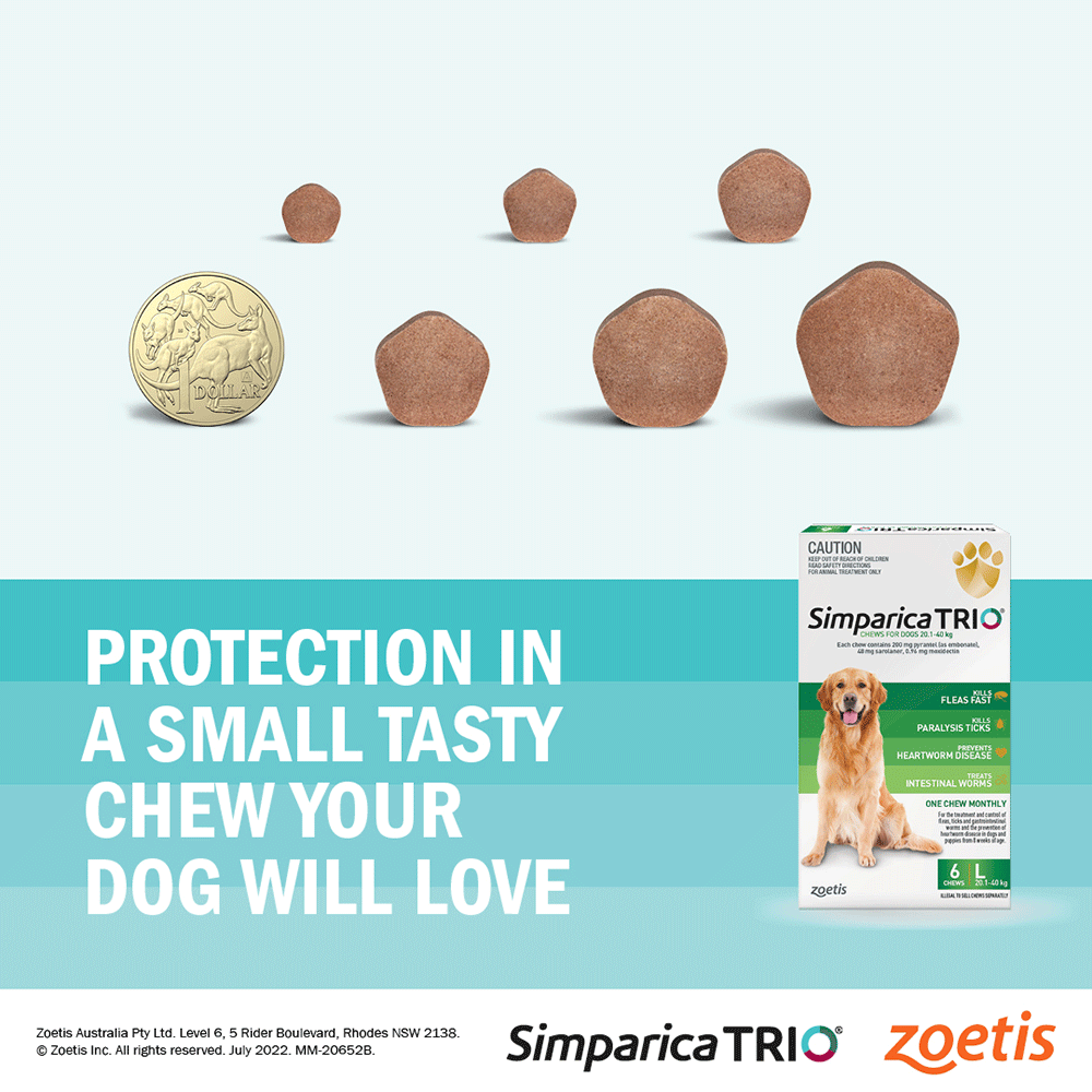 Chews for Puppy Dogs 1.25-2.5kg