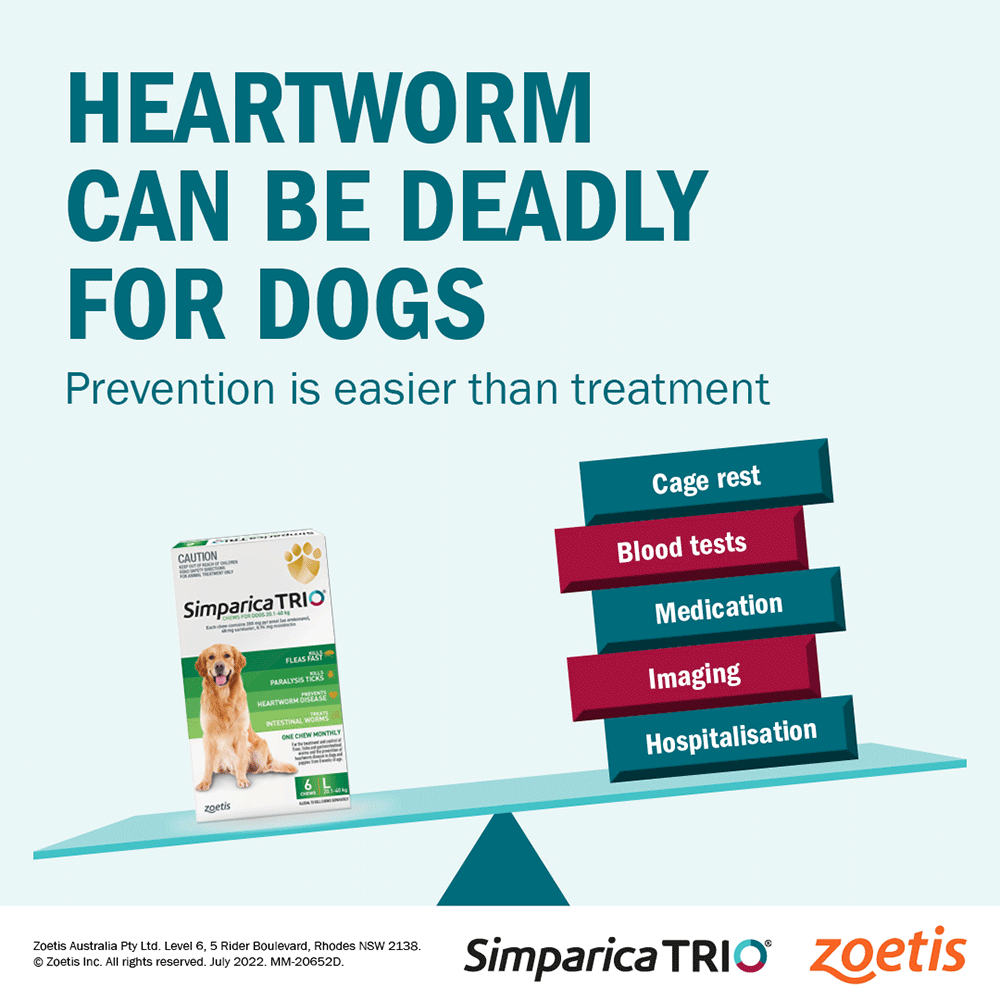 Chews for Puppy Dogs 1.25-2.5kg