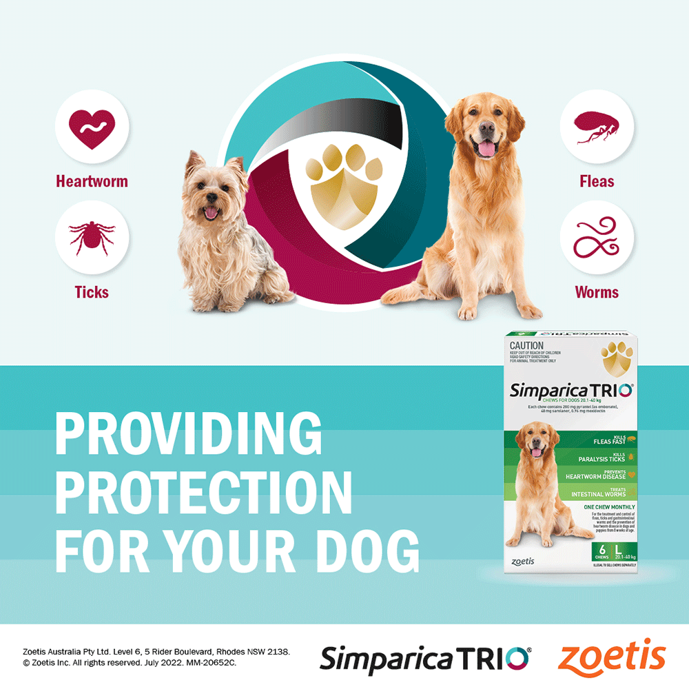 Chews Flea & Tick Small Dogs 5.1-10kg