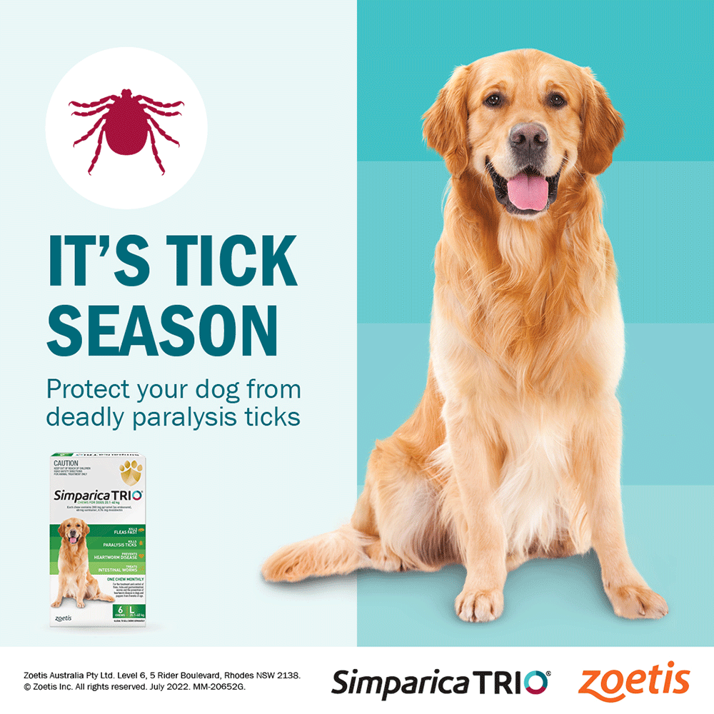Chews Flea & Tick Small Dogs 5.1-10kg