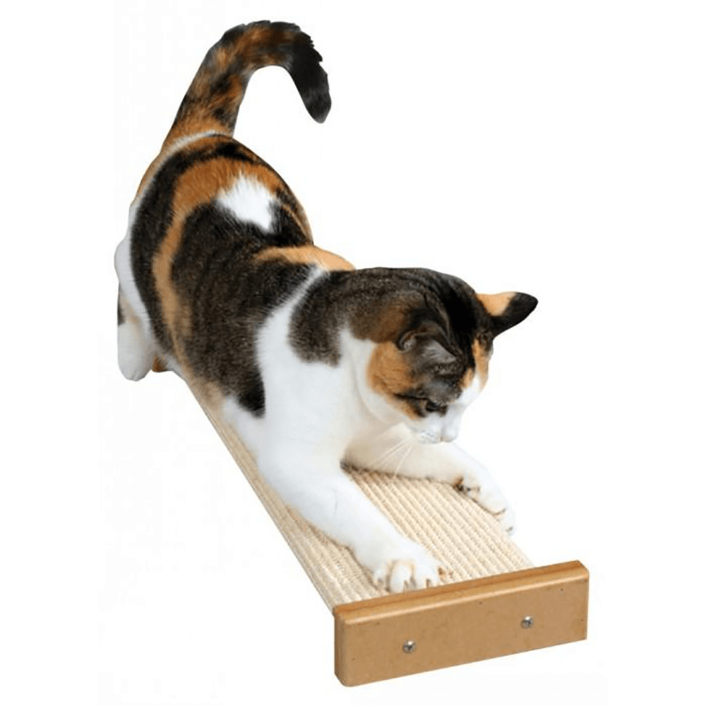 Combination Scratcher