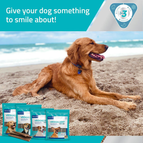 Small Dog Dental Treats