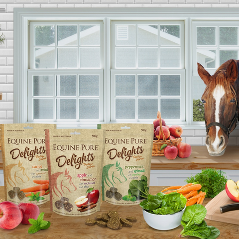 Delights Carrot Mint Turmeric And Chia Horse Treats