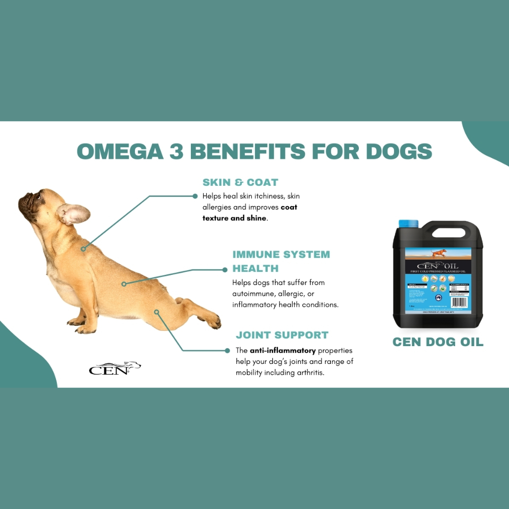 First Cold Pressed Flaxseed Oil for Dogs