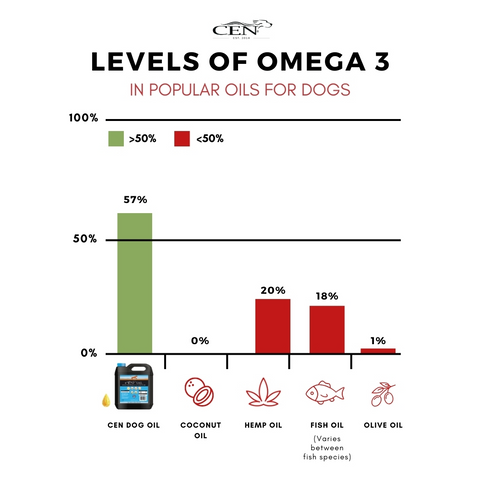 First Cold Pressed Flaxseed Oil for Dogs