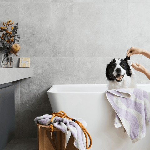 Probiotic Pet Ear Wipes Fragrance Free