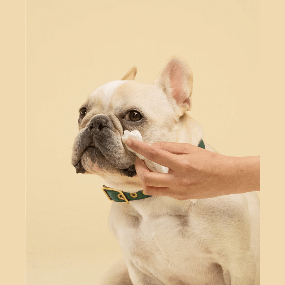 Probiotic Pet Eye Wipes Fragrance Free