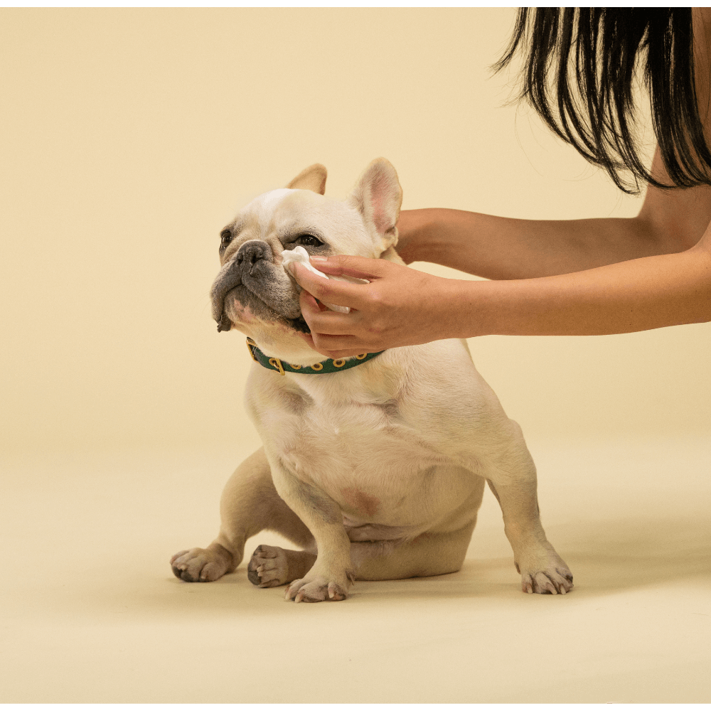 Probiotic Pet Eye Wipes Fragrance Free