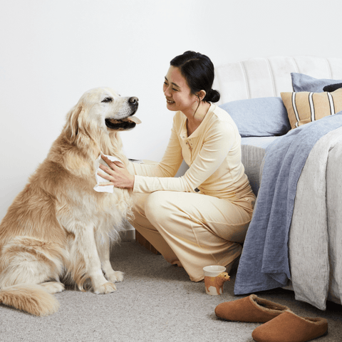 Probiotic Pet Wipes Fragrance Free