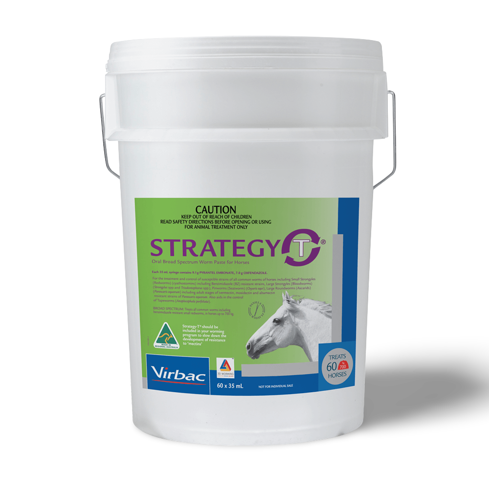 Strategy T Horse Wormer Stable Pail