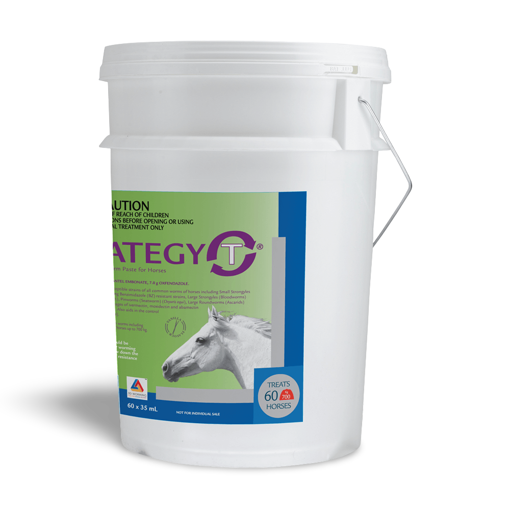 Strategy T Horse Wormer Stable Pail