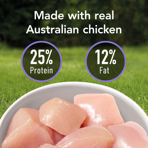 Smartblend Chicken Small Breed Adult Dry Dog Food