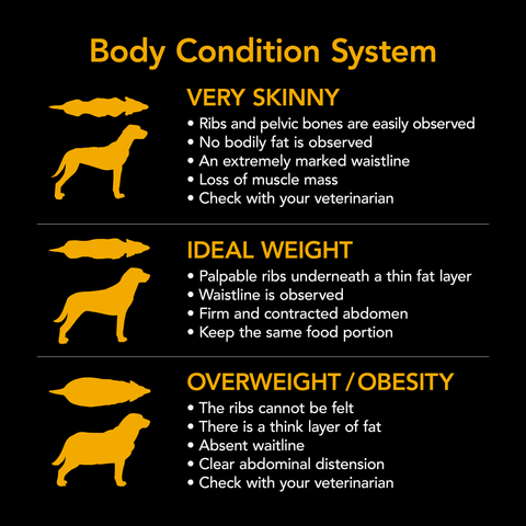 Smartblend Beef Active Adult Dry Dog Food