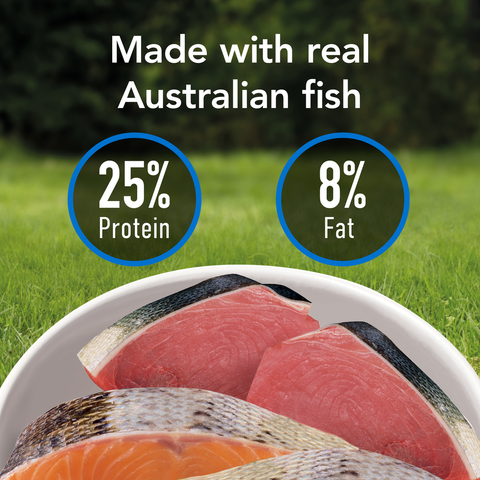 Smartblend Ocean Fish Senior Dry Dog Food