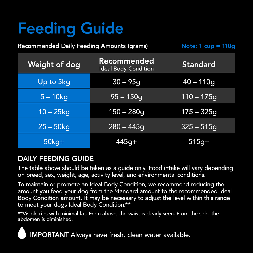 Smartblend Ocean Fish Senior Dry Dog Food