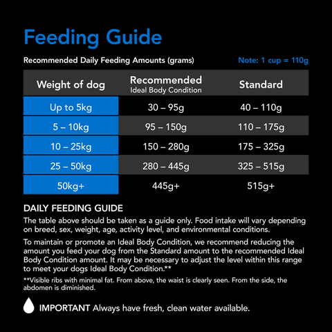 Smartblend Ocean Fish Senior Dry Dog Food