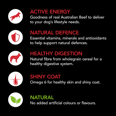 Smartblend Beef Adult Dry Dog Food