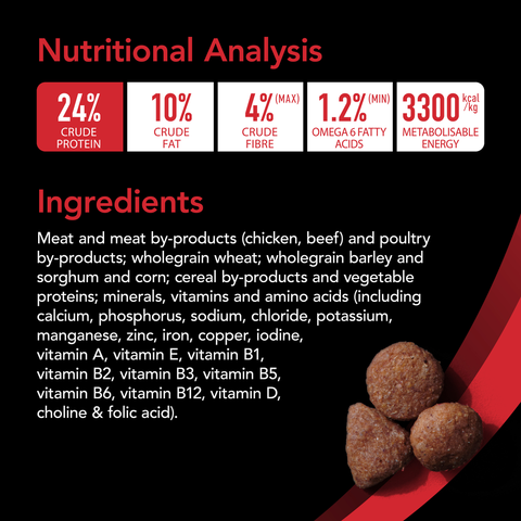 Smartblend Beef Adult Dry Dog Food