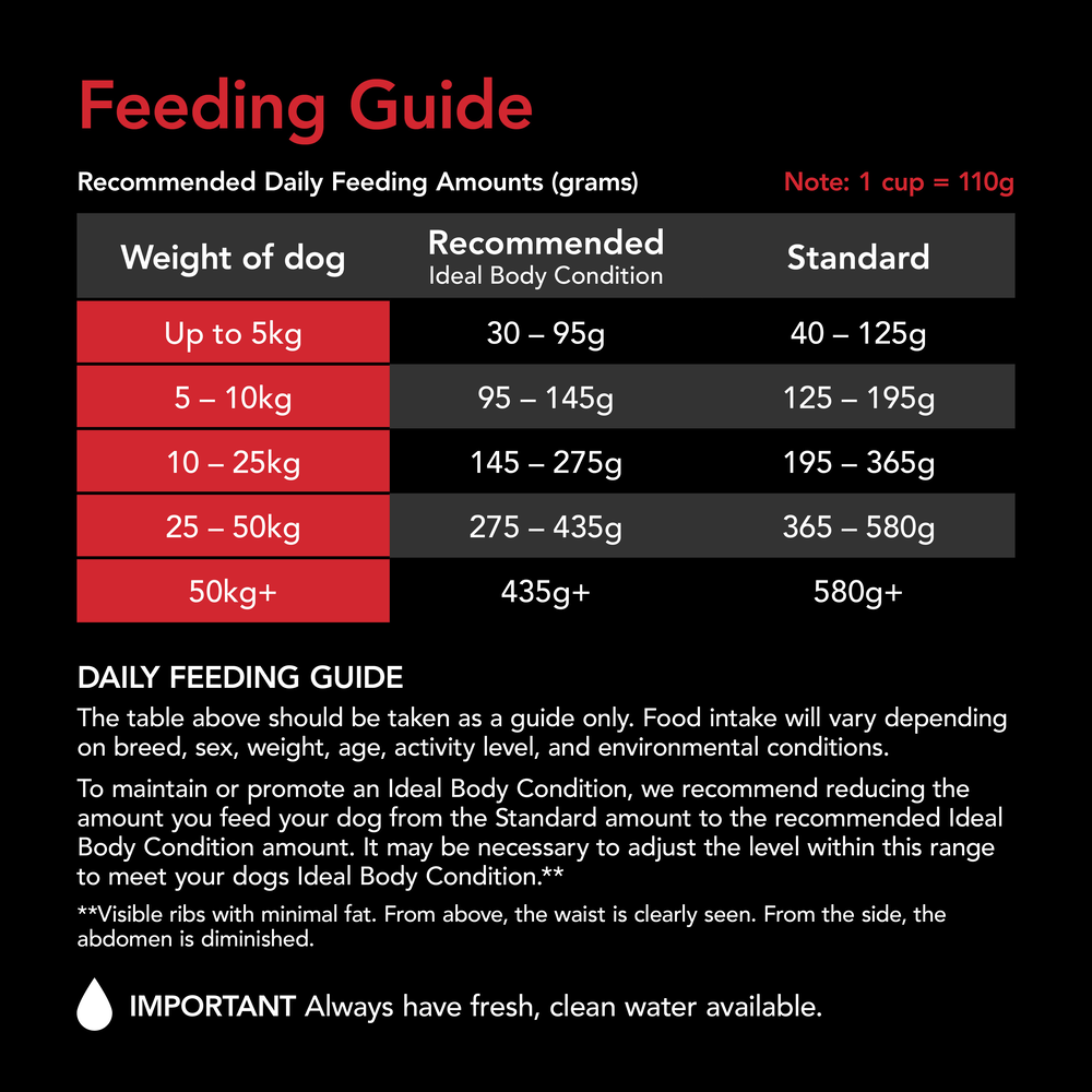 Smartblend Beef Adult Dry Dog Food