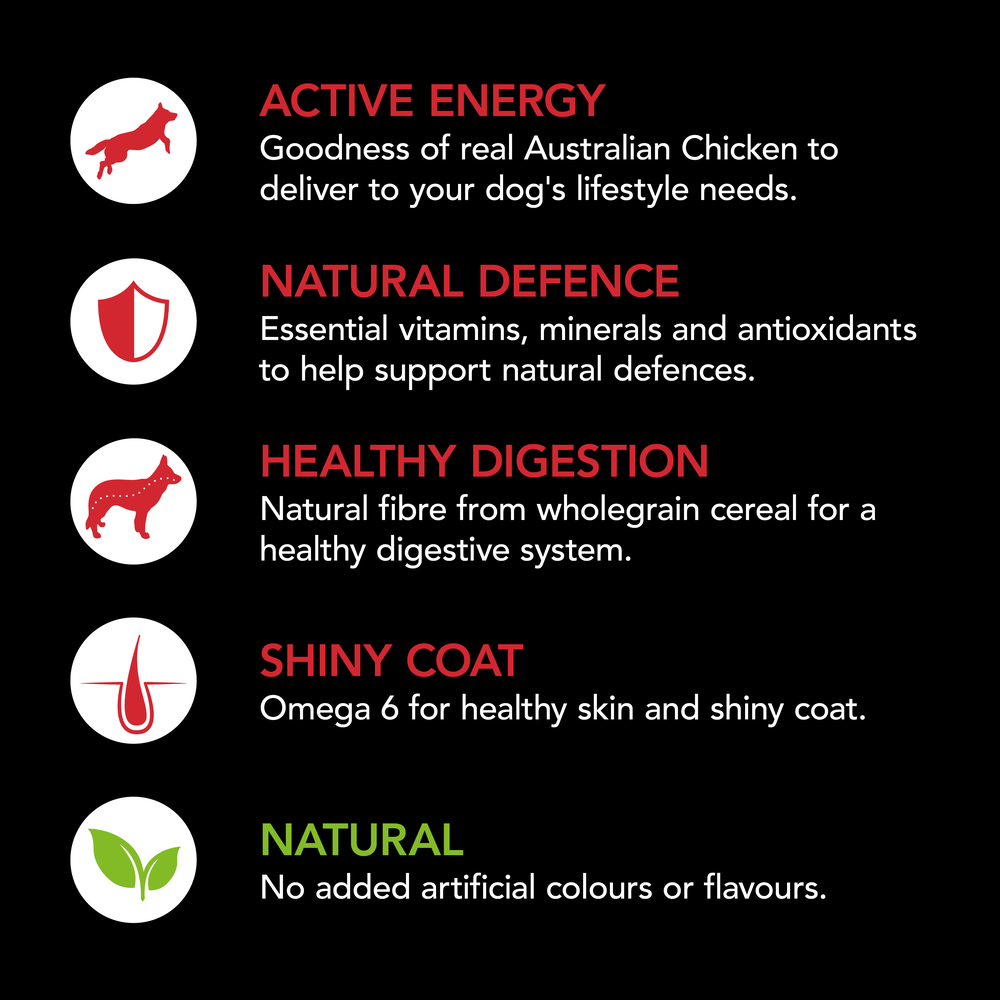 Smartblend Chicken Adult Dry Dog Food