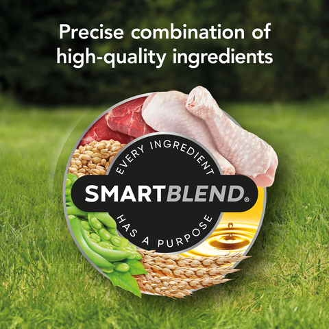 Smartblend Chicken Adult Dry Dog Food