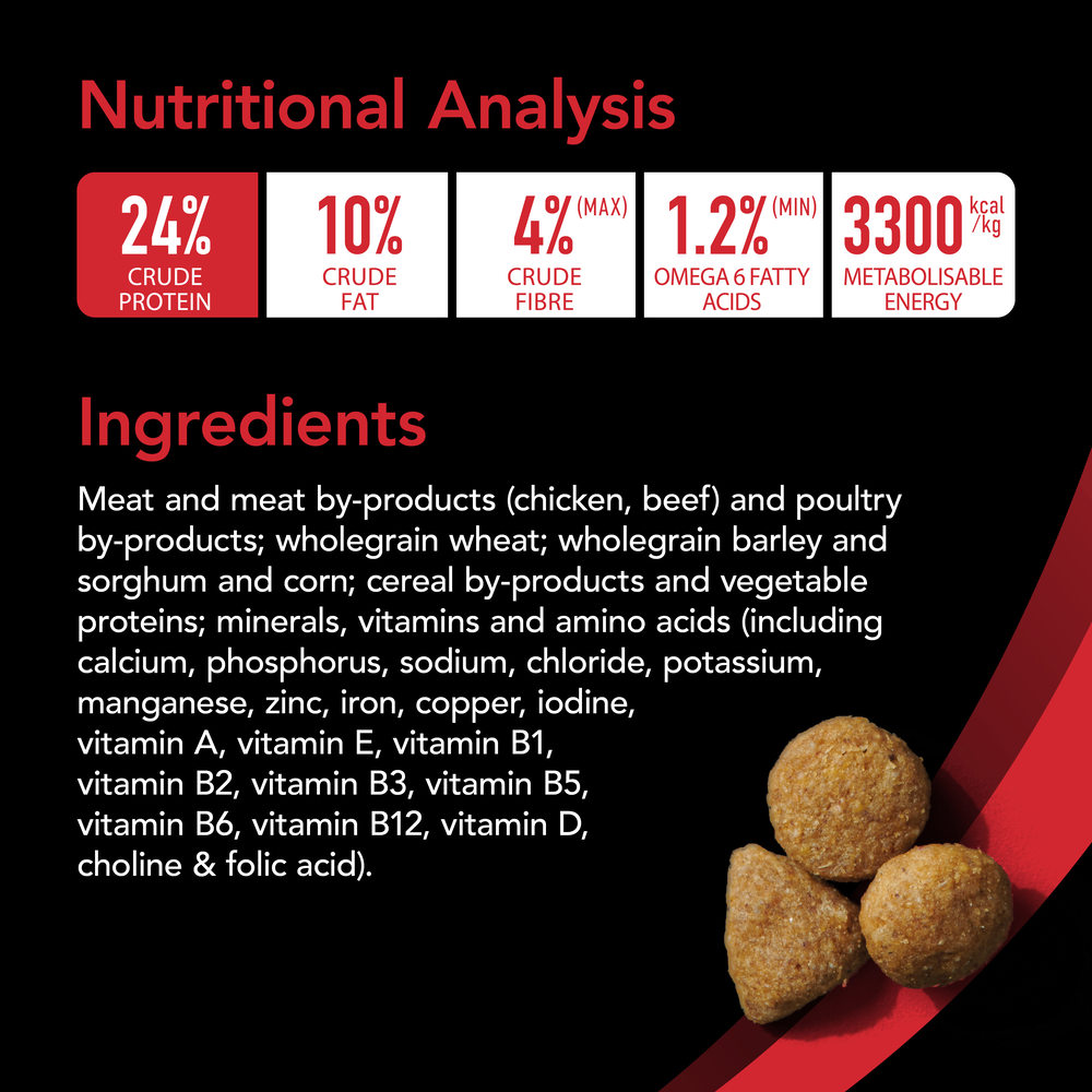 Smartblend Chicken Adult Dry Dog Food