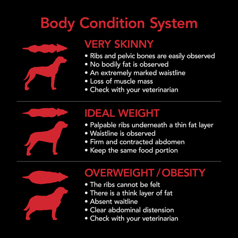 Smartblend Chicken Adult Dry Dog Food