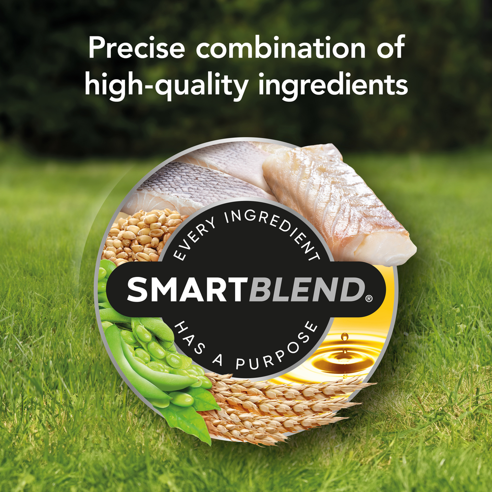 Smartblend Sensitive Fish Adult Dry Dog Food
