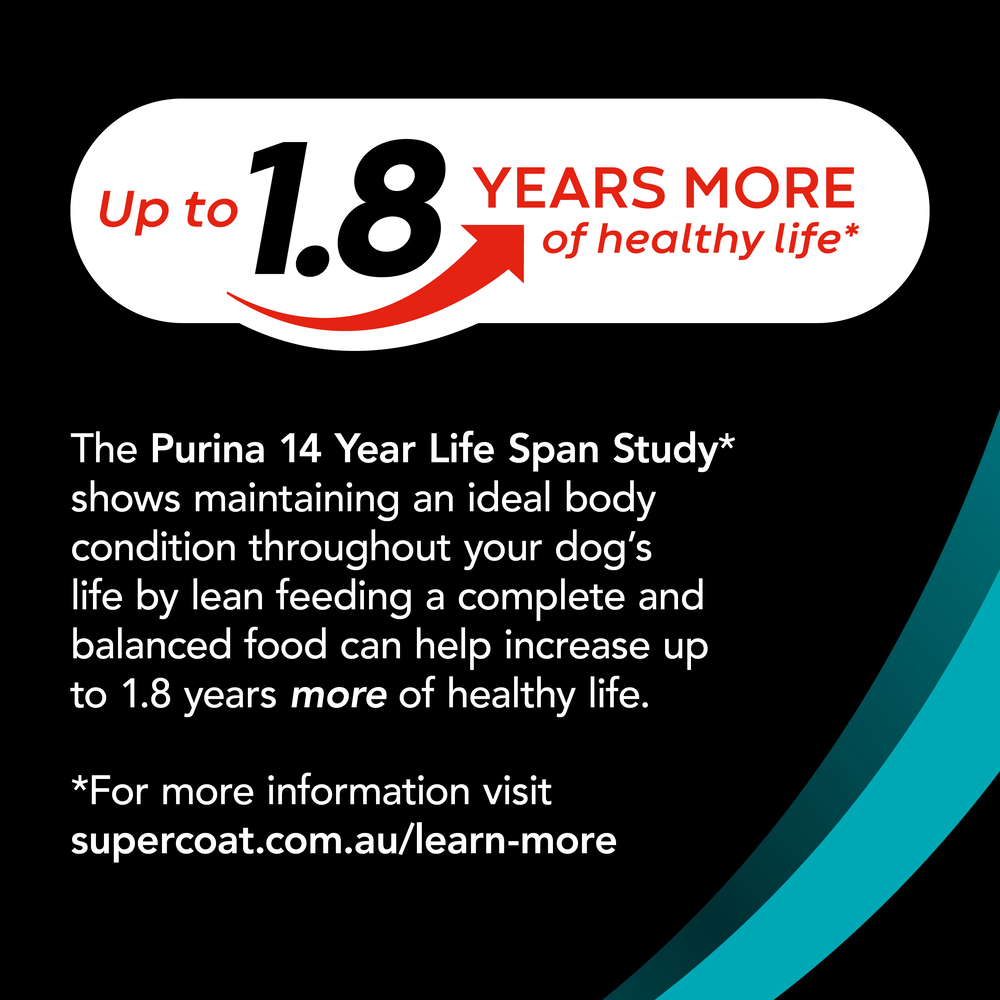 Smartblend Sensitive Fish Adult Dry Dog Food