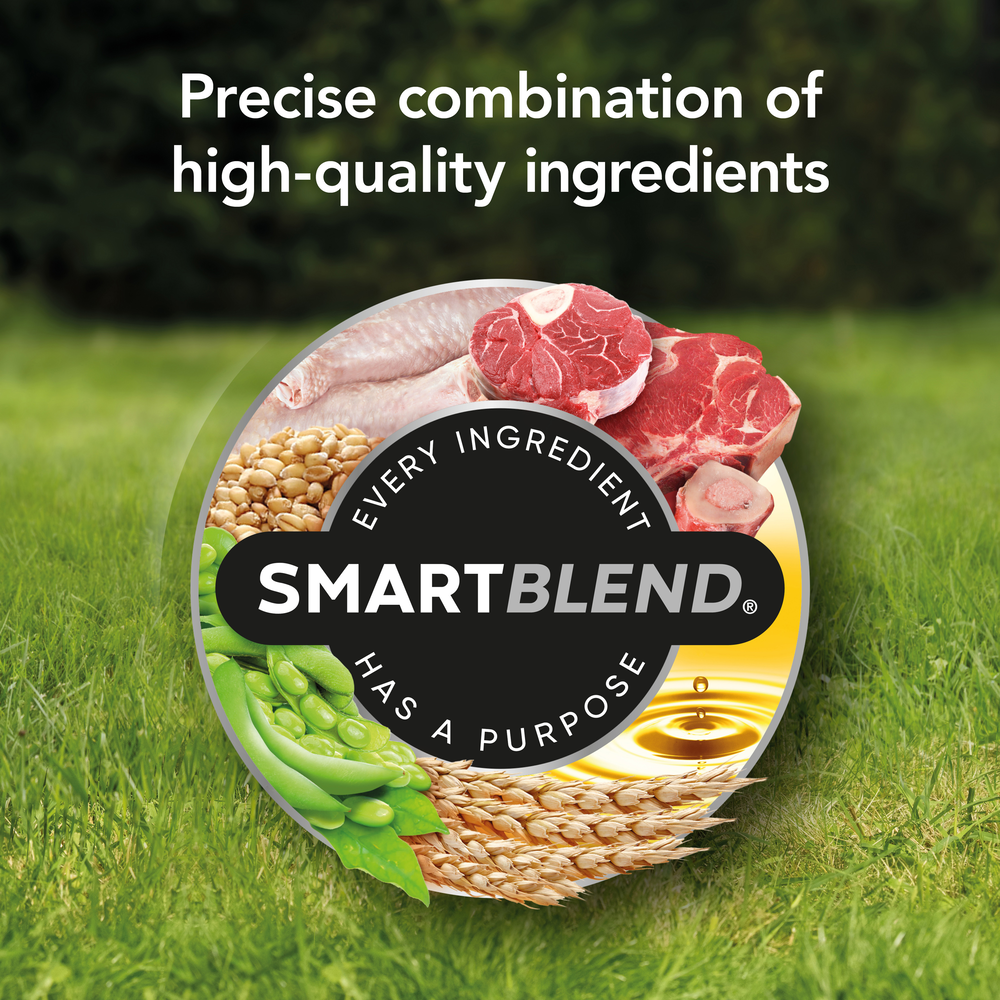 Smartblend Beef Small Breed Adult Dry Dog Food