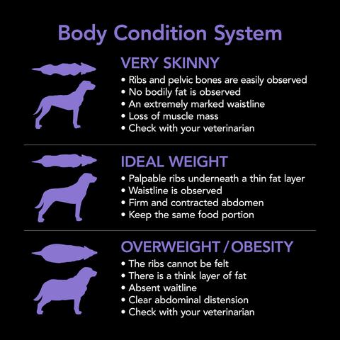 Smartblend Beef Small Breed Adult Dry Dog Food