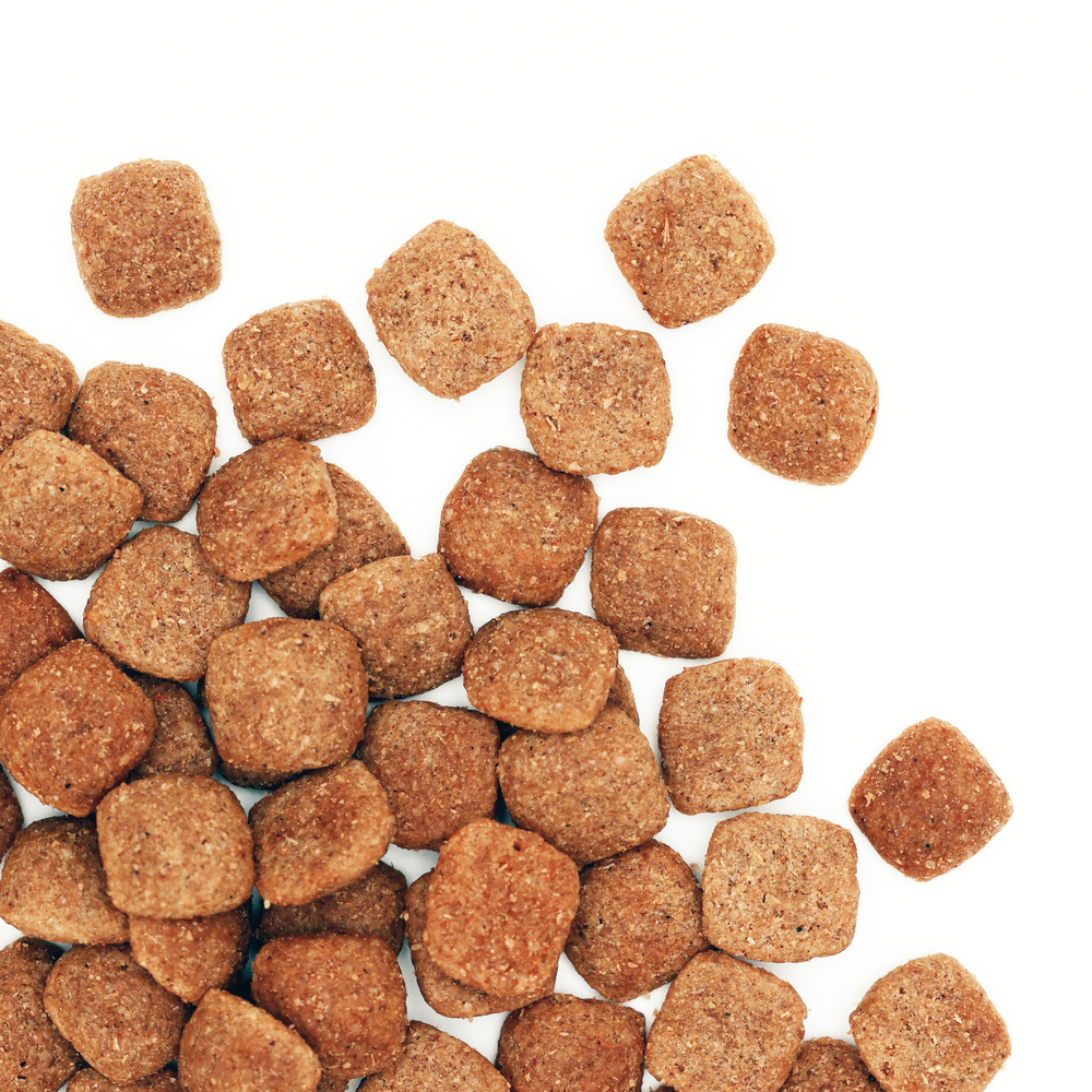 Smartblend Chicken Large Breed Adult Dry Dog Food