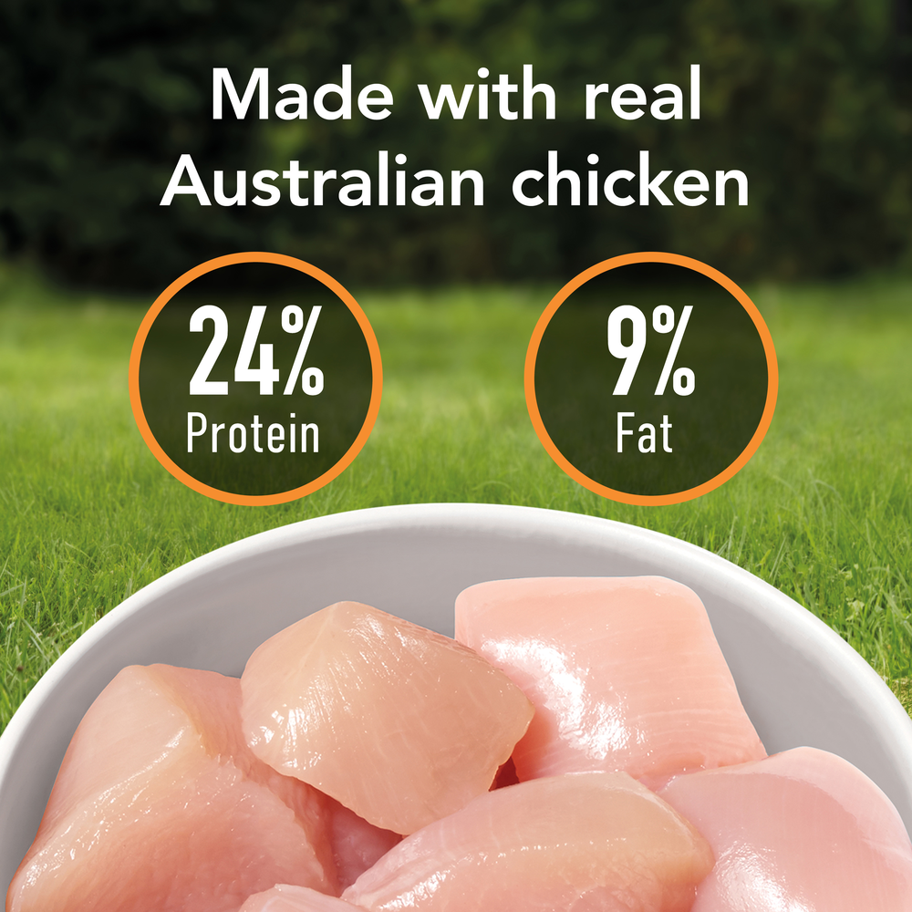 Smartblend Chicken Large Breed Adult Dry Dog Food