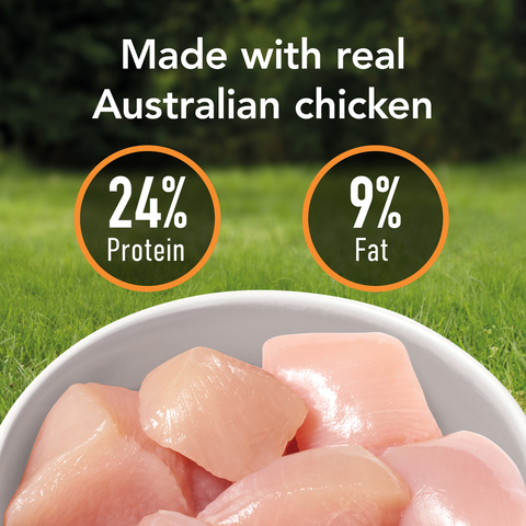 Smartblend Chicken Large Breed Adult Dry Dog Food