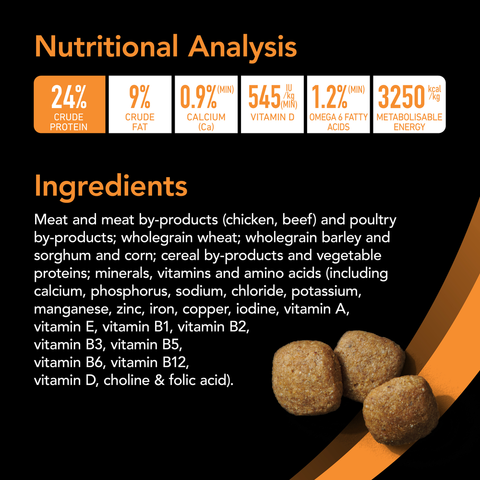 Smartblend Chicken Large Breed Adult Dry Dog Food