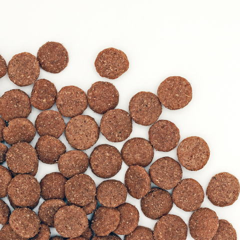 Smartblend Chicken Large Breed Puppy Dry Dog Food