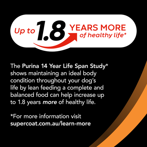 Smartblend Chicken Large Breed Puppy Dry Dog Food