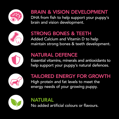 Smartblend Chicken Puppy Dry Dog Food