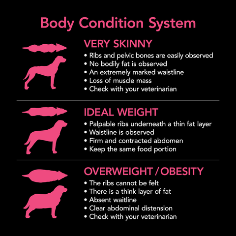 Smartblend Chicken Puppy Dry Dog Food