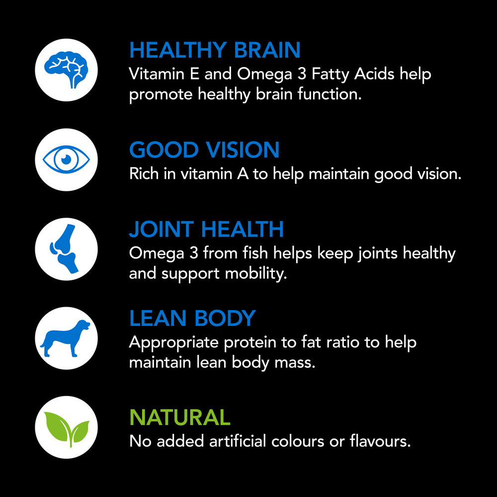 Smartblend Ocean Fish Senior Dry Dog Food