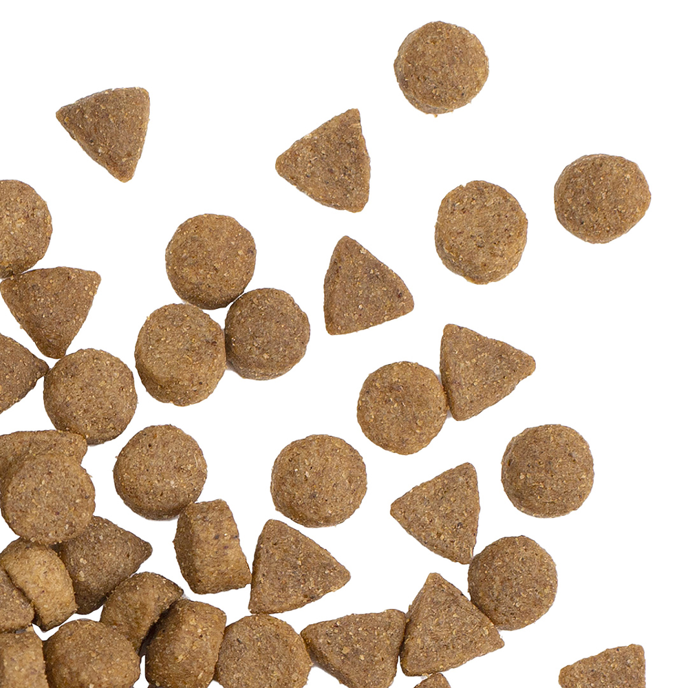 Smartblend Ocean Fish Senior Dry Dog Food