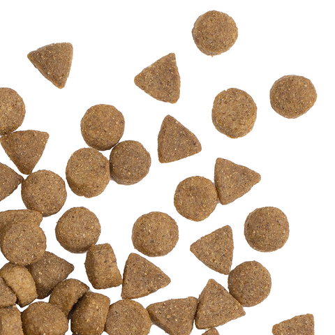 Smartblend Ocean Fish Senior Dry Dog Food