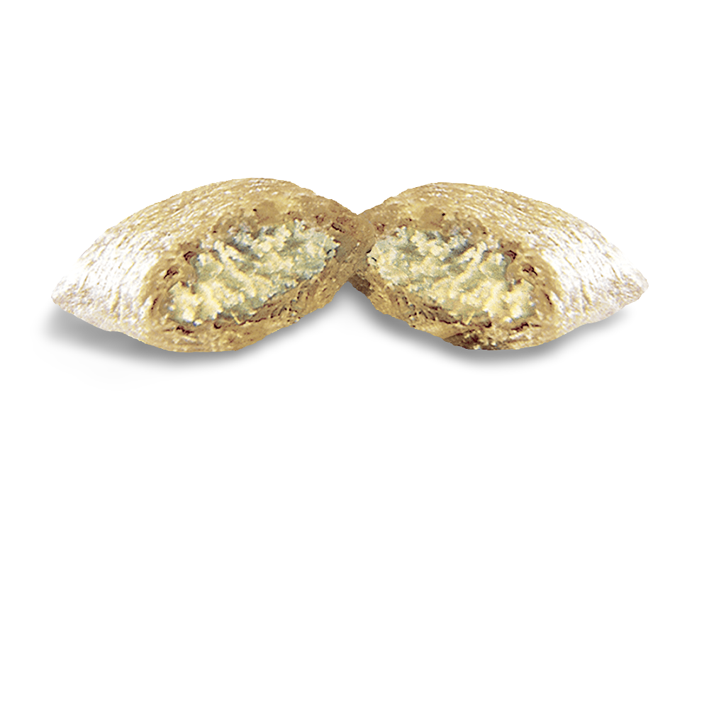 Creamy Dairy Cat Treats