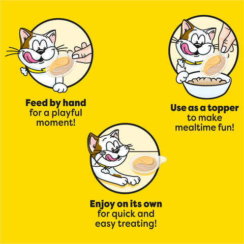 Creamy Spoons Tasty Chicken And Cheesy Cheese Flavour